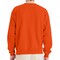 Hanes EcoSmart Unisex Crewneck Sweatshirt P160 Cotton-Poly Blend Fleece for Crafts